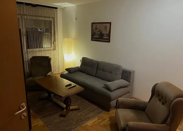 Rankovic 公寓 克拉古耶瓦茨