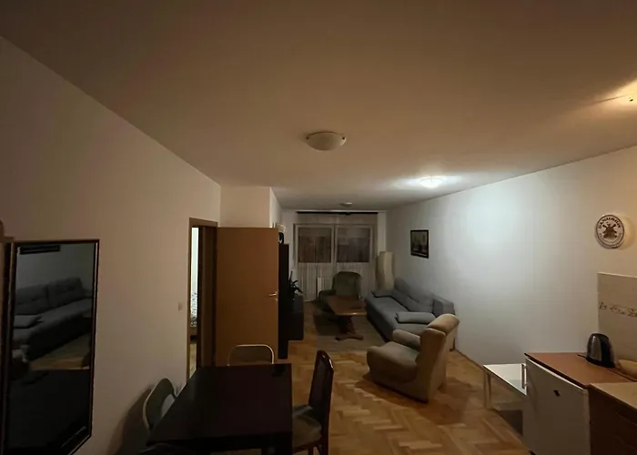 公寓 Rankovic 克拉古耶瓦茨